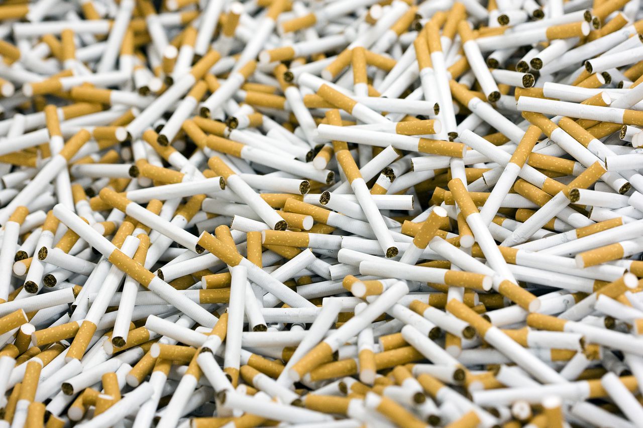 De sigarettenfabriek van Philip Morris Holland B.V. in Bergen op Zoom. Per jaar worden er ongeveer 94 miljard sigaretten geproduceerd.