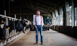 Gerard Migchels in a stable in Werkhoven: “We also have very critical farmers who wonder whether the fuss about nitrogen is not being exaggerated.”