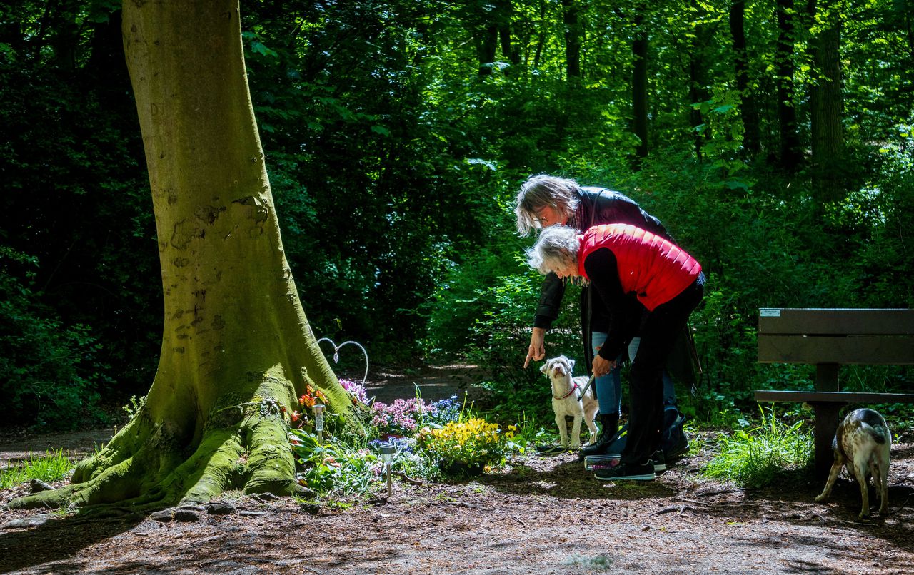 Een gedenkplek in de Scheveningse Bosjes, waar een van de drie slachtoffers werd gevonden.