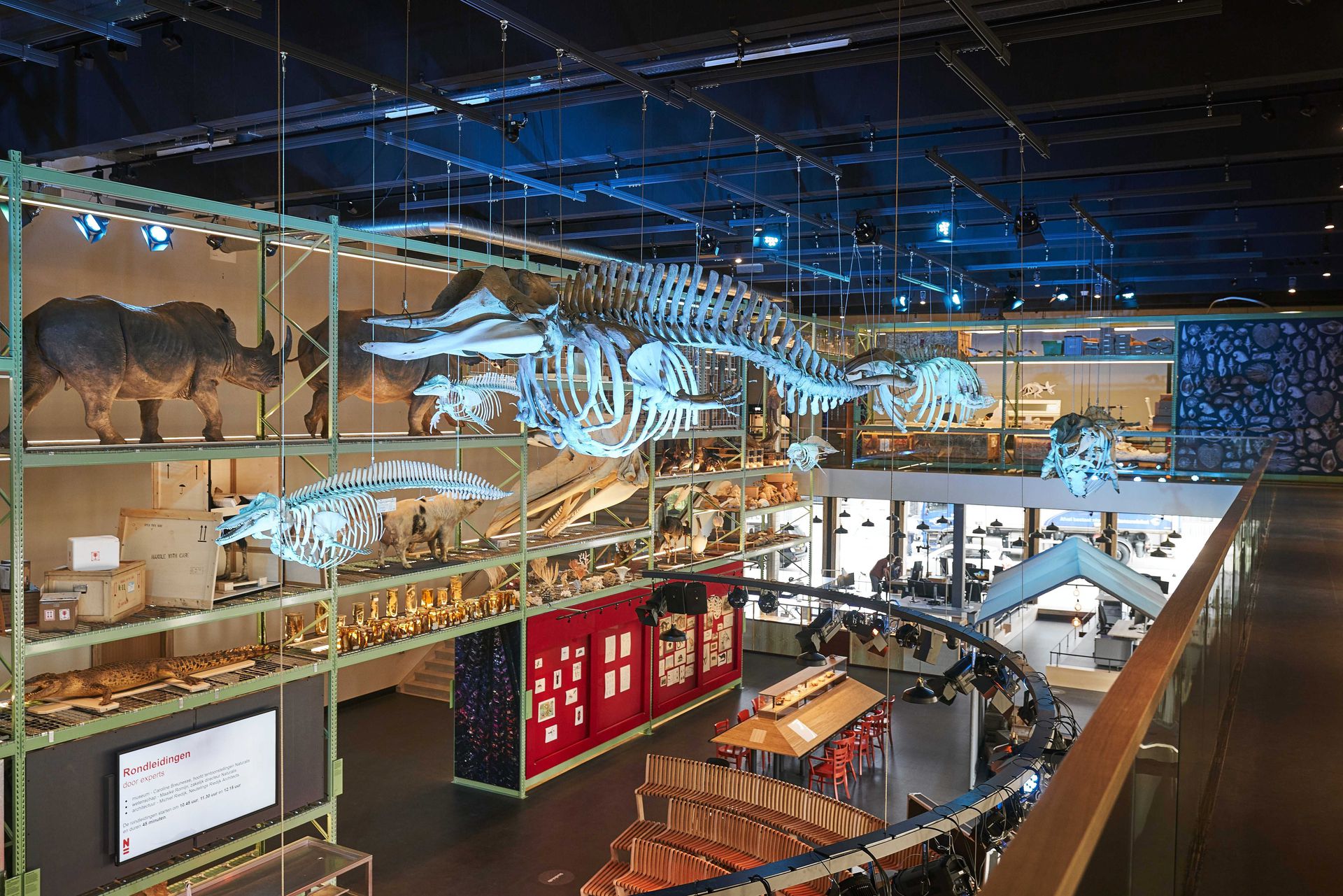 Naturalis Leiden Europees museum van het jaar - NRC