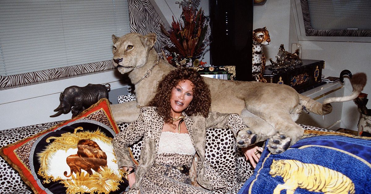 Jocelyn Wildenstein (1960-2024): De buitenaardse 'Catwoman' die de grens tussen echt en nep vervaagde