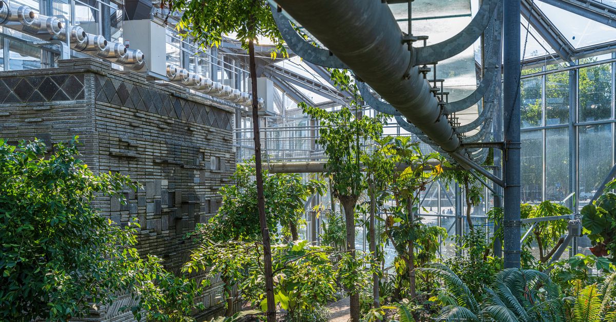 Het Cultuurfonds stelt zes miljoen aan ‘zachte leningen’ beschikbaar