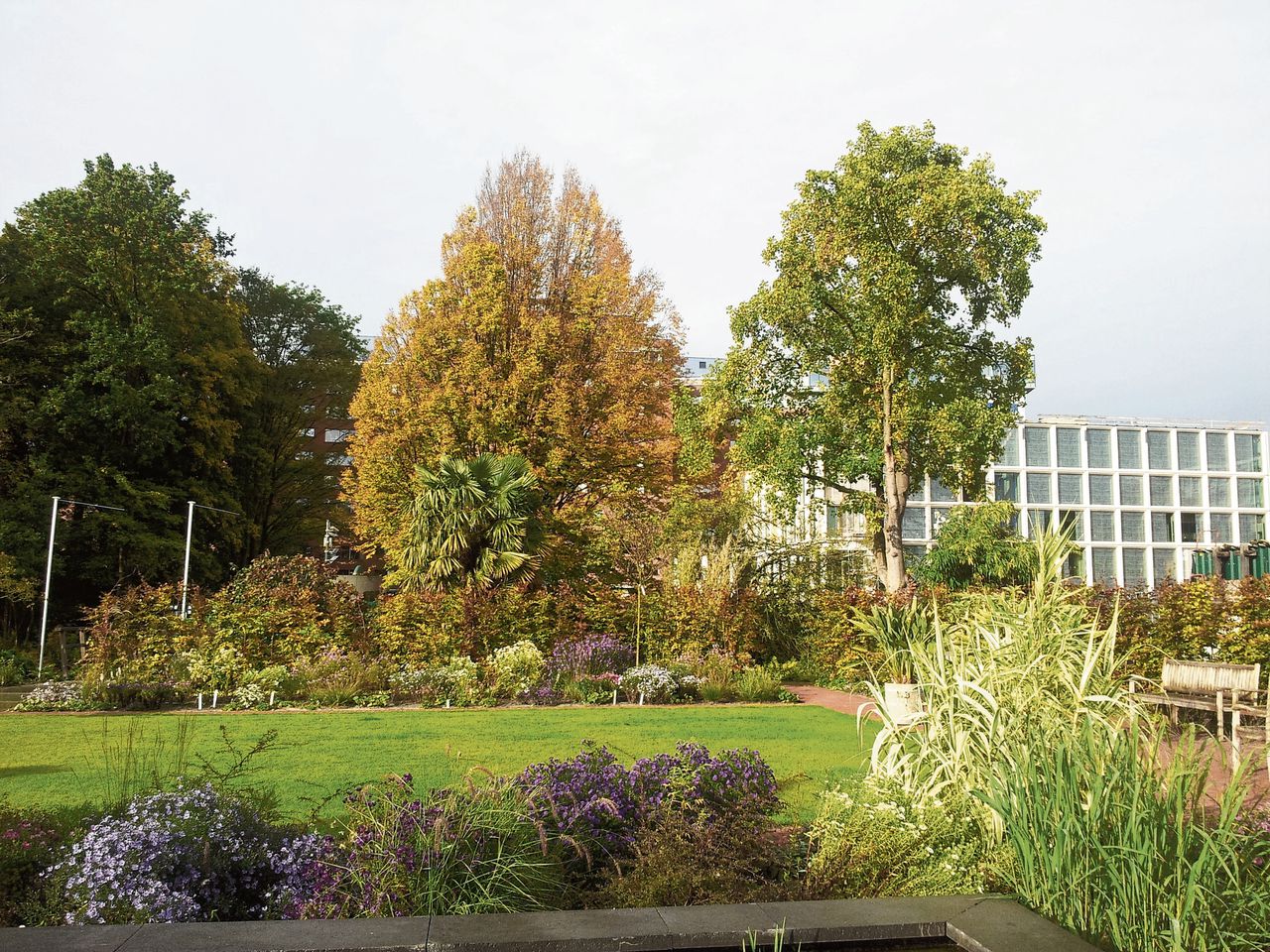 Er is nog wél groen op de Zuidas de Botanische tuin achter het VUmc