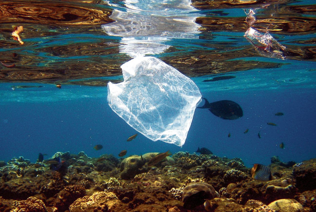 Plastic afval komt op grote schaal in rivieren en in zee terecht.