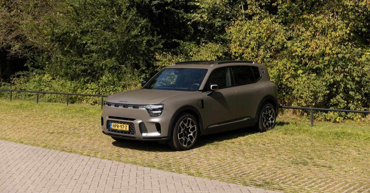 Eendagsvlieg in esthetisch niemandsland