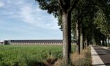 Stallen en maïs domineren het landschap rond de Deurnese Peel. „Als ergens in Nederland de invloed van de veehouderij op de natuur groot is, dan is het hier.”