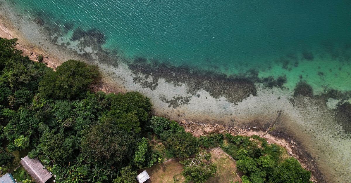 Zeespiegelstijging in honderden studies ‘onderschat door fout in rekenmodel’