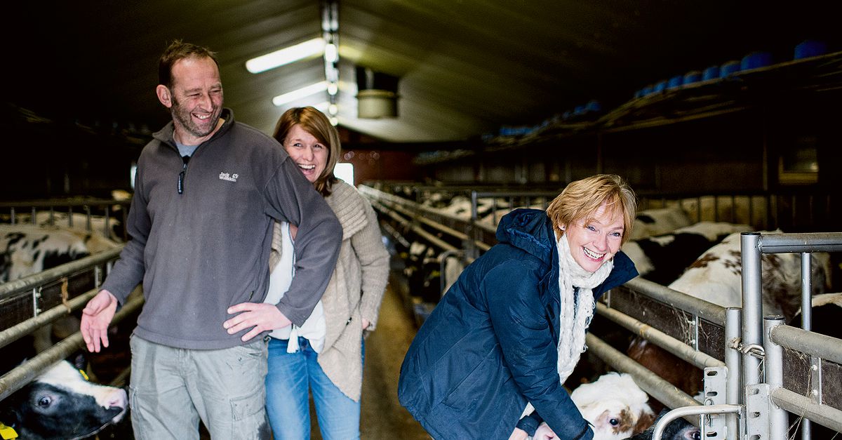 De ruzie is voorbij: het kostte 1,3 miljoen - NRC International