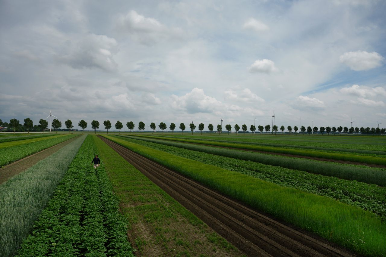 De ‘Boerderij van de Toekomst’ als voorbeeld voor de kringlooplandbouw in 2030.