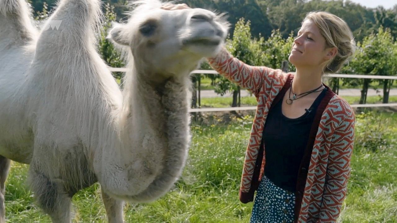 Tamar (34) met kameel Einstein in ‘30 en nooit meer werken’.