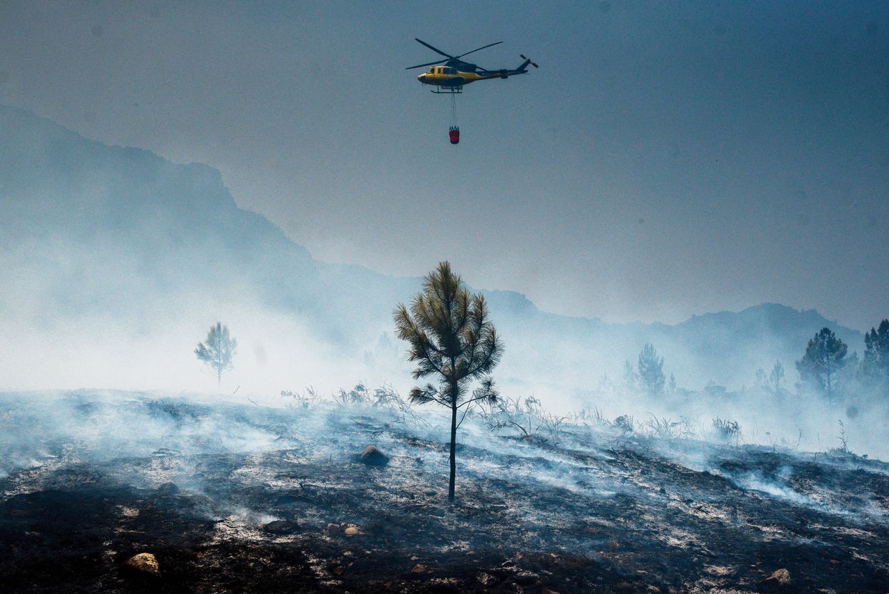 Het door een bosbrand verwoeste Penede-Geres Natural Park in het noorden van Spanje.