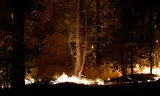 A wildfire burns in Noisy-sur-Ecole near Fontainebleau, France, July 12, 2026. REUTERS/Benoit Tessier