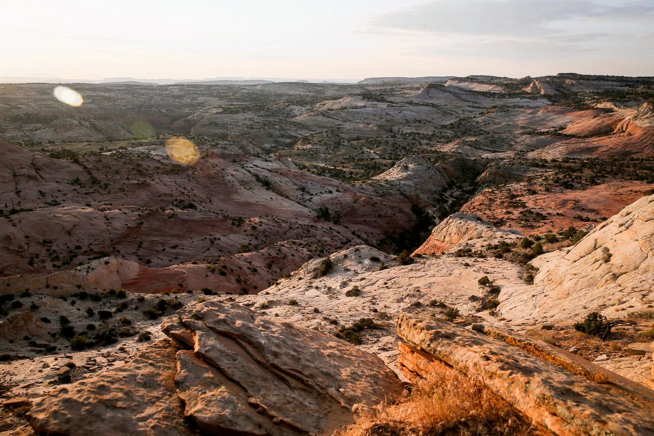 Trump Slashes US Wild Nature Monuments to 'Give Land Back to the People'