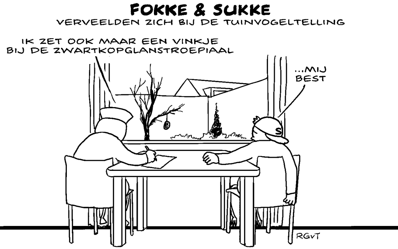 Fokke & Sukke 