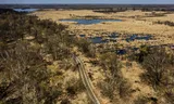 De Deurnese Peel in het oosten van Noord-Brabant. Dit veengebied is een van de kwetsbaarste stukken natuur van Nederland. Het veen hier dreigt uit te drogen als gevolg van klimaatverandering.
