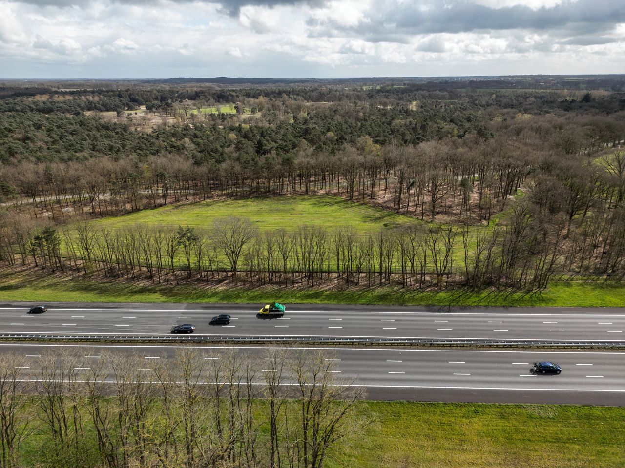 Deze acht experts weten hoe het stikstofprobleem wél kan worden opgelost: ‘Geef boeren vertrouwen’