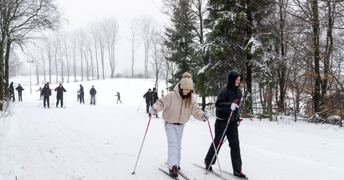 Hoe België een verdienstelijk biatlonland werd