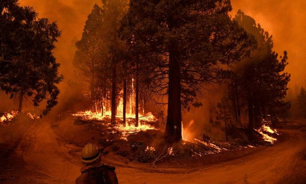 Het Sequoia National Park in de VS, met de monumentale bomen, staat in brand 