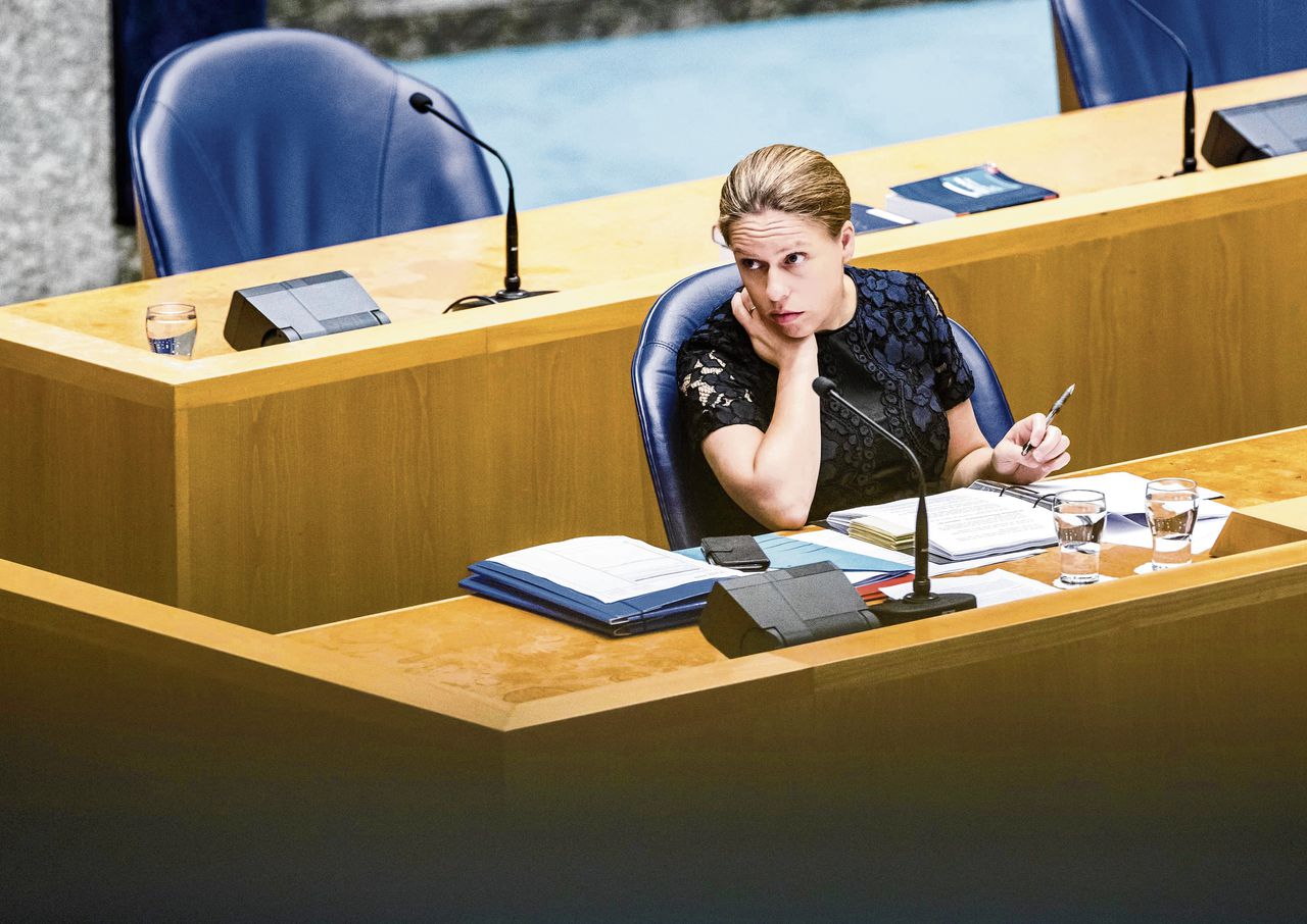 Oppositie schiet geen gaten in stikstofplan van coalitie - NRC