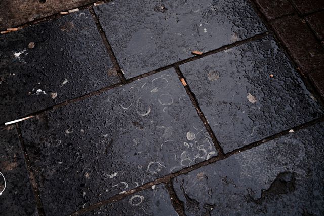 Adoquines llenos de fósiles (y chicles) procedentes de Irlanda en Leidsestraat.