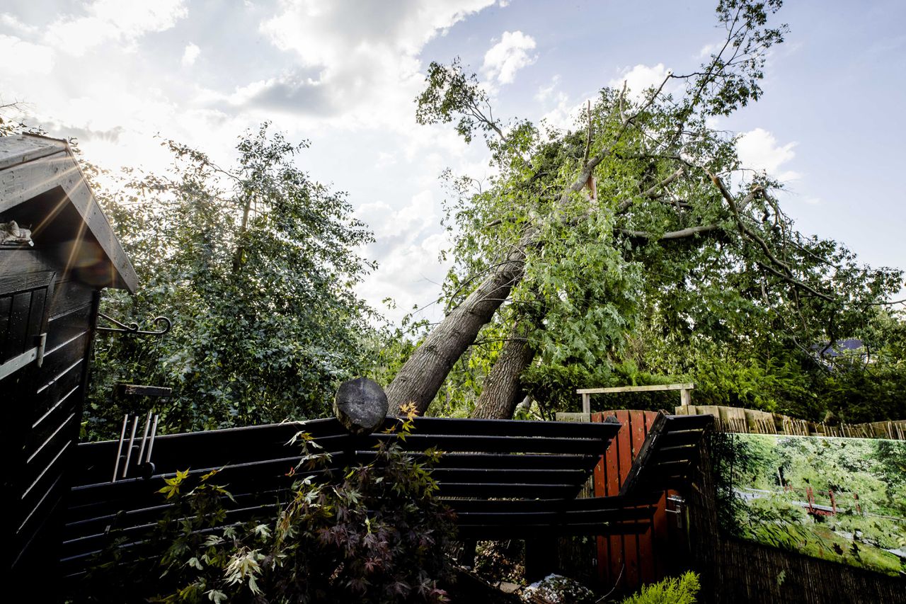 In Leersum zorgde de storm van vrijdagavond voor flink wat overlast. Meerdere bomen vielen om.
