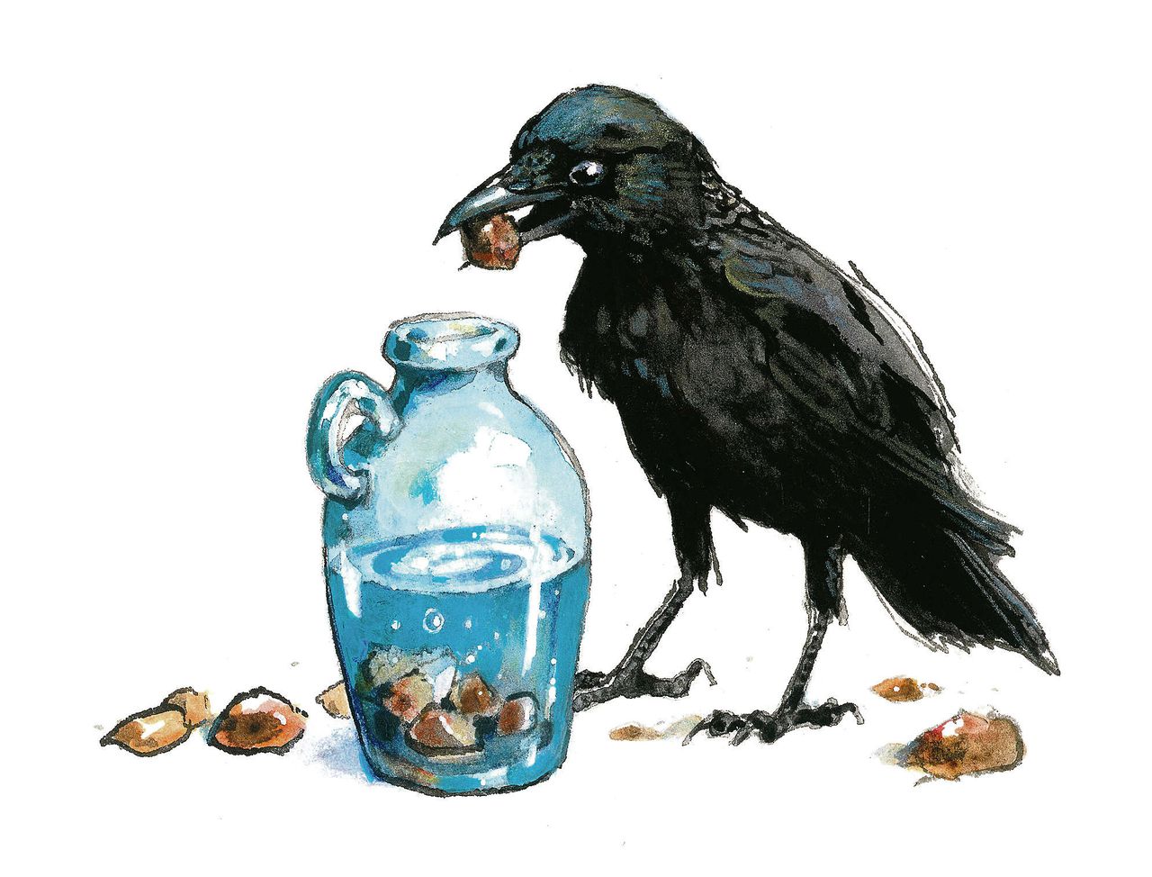 Hoe Een Slimme Kraai Zijn Dorst Lest Nrc
