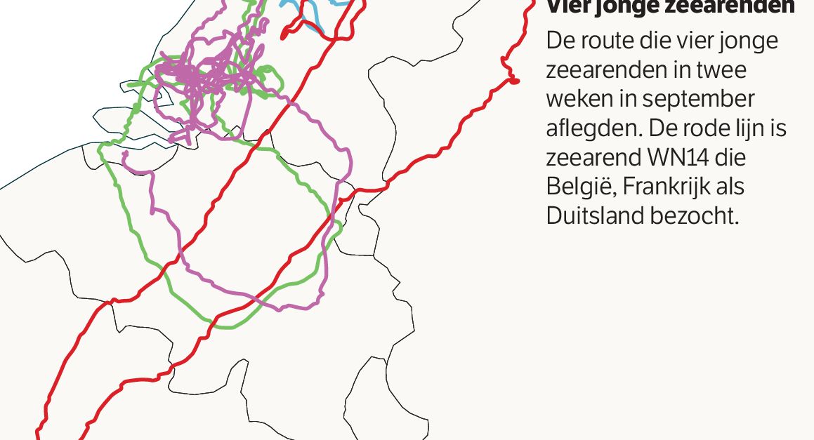 De ondoorgrondelijke wegen van zeearend WN14 - NRC
