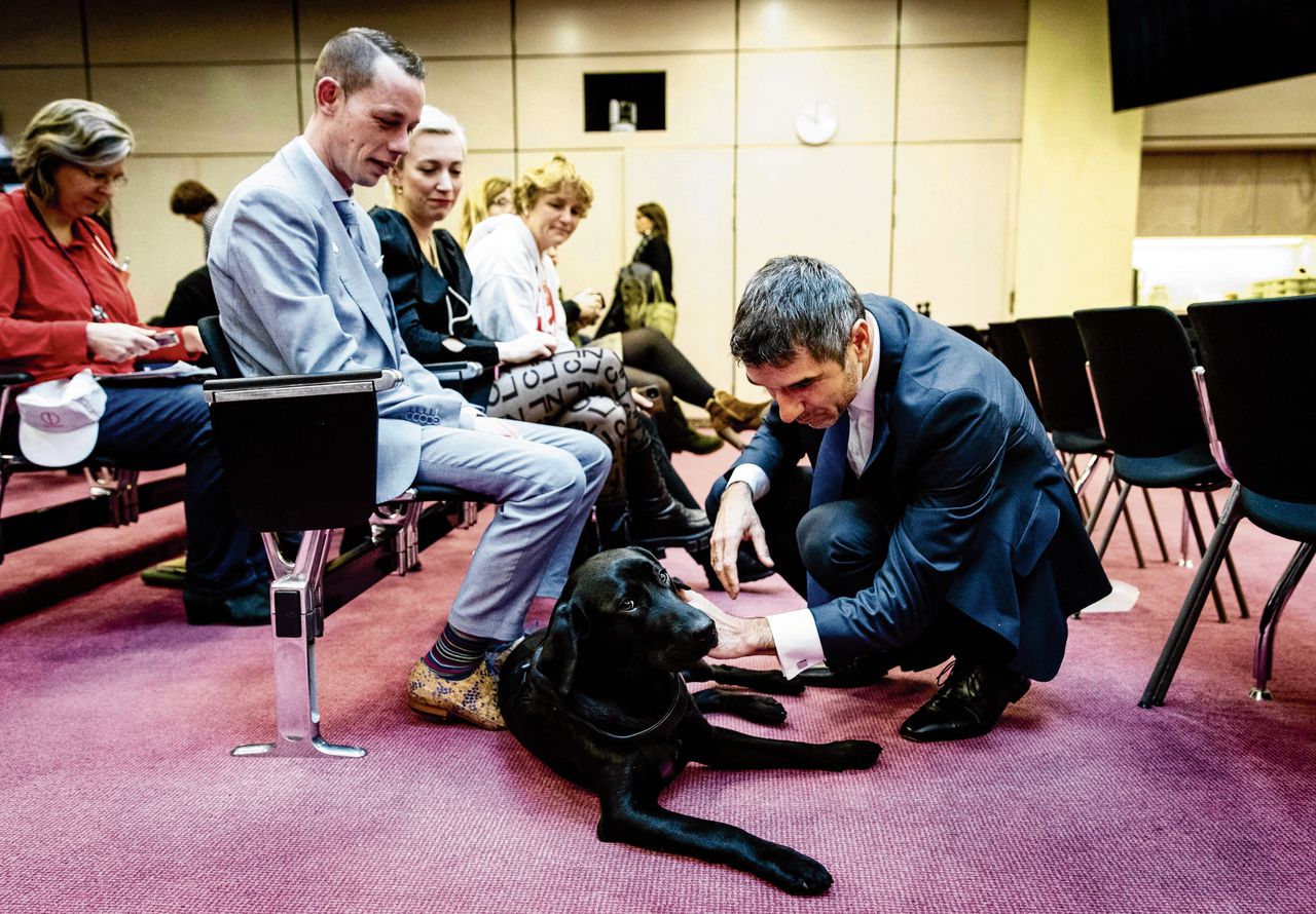 Staatssecretaris Paul Blokhuis begroet hond Bobby van Charlotte Bouwman (midden), voor een algemeen overleg in de Tweede Kamer over de ggz.