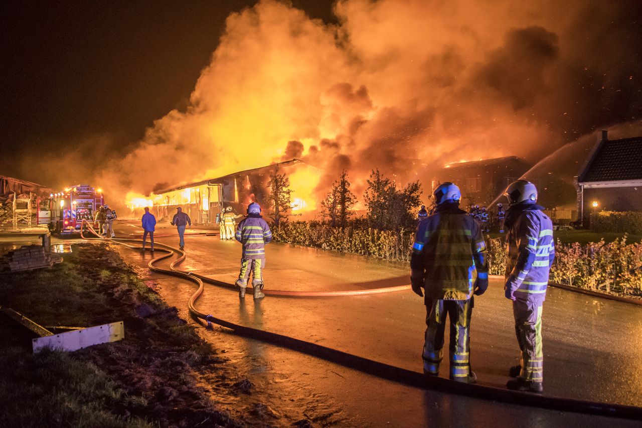Bij een boerderij in Werkhoven is in november 2018 voor de derde keer in korte tijd brand uitgebroken. De loods was niet meer te redden. De koeien die in de stal stonden zijn omgekomen.