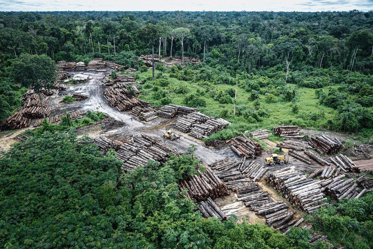 Illegale ontbossing in Brazilië. afgelopen weekeinde bleek dat vorig jaar een kleine 8.000 vierkante kilometer van het Amazone-regenwoud illegaal is gekapt – het grootste gebied in tien jaar.