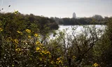 More and more need for increasingly scarce drinking water: why is the Dutch not succeeded in handling water more efficiently?