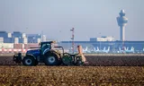 Nitrogen increasingly ruined the mutual interaction in the coalition