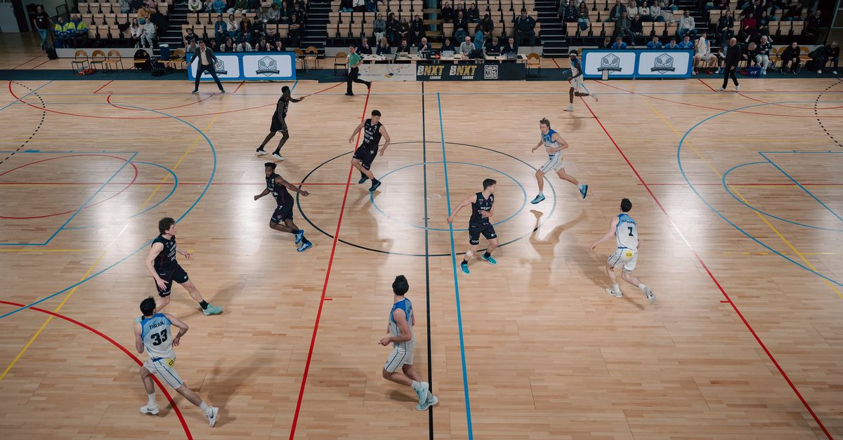 Drie Nederlandse ploegen stappen uit BNXT League: ‘Van Telstar verwachten we ook niet hetzelfde als van PSV, Feyenoord of Ajax’