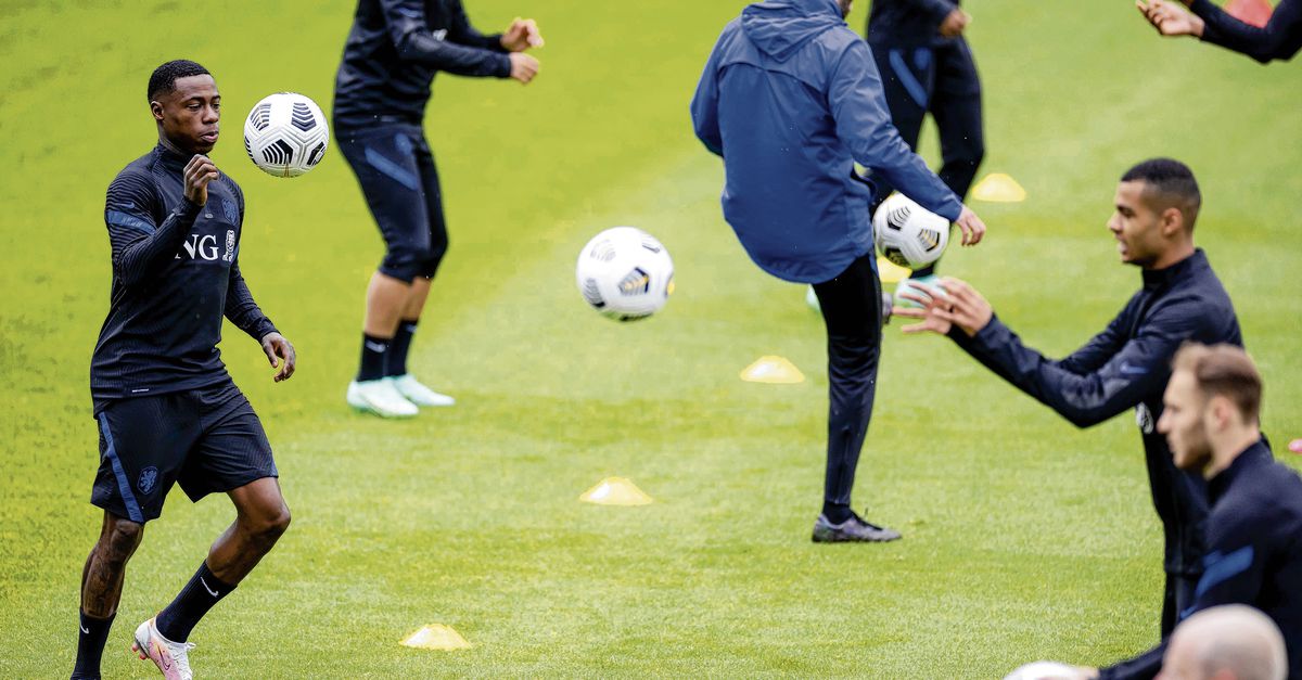 Het bommetje dat volgens Frank de Boer niet zou ontploffen, ontbrandde vandaag toch toen collega's van @telegraaf de neef van Quincy Promes spraken over de steekpartij.