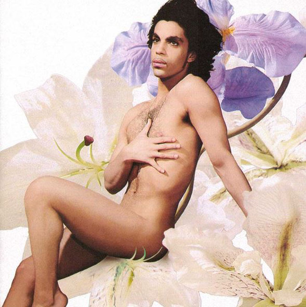 Kijken: 33 albums van Prince op een rij 