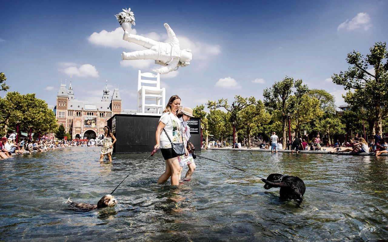Honden en toeristen zoeken verkoeling in de vijver op het Museumplein in Amsterdam.