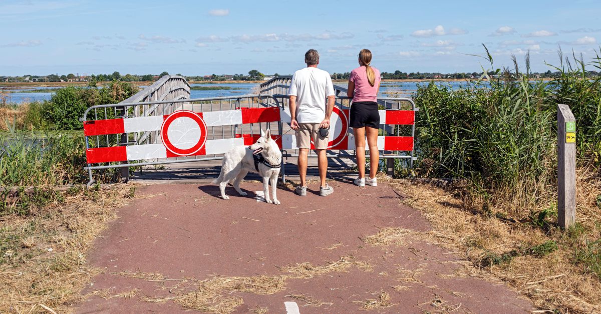 Wat te doen tegen droogte? Water beter vasthouden, strijden tegen verzilting, soms overlast accepteren maar vooral: ‘veel steviger klimaatbeleid’