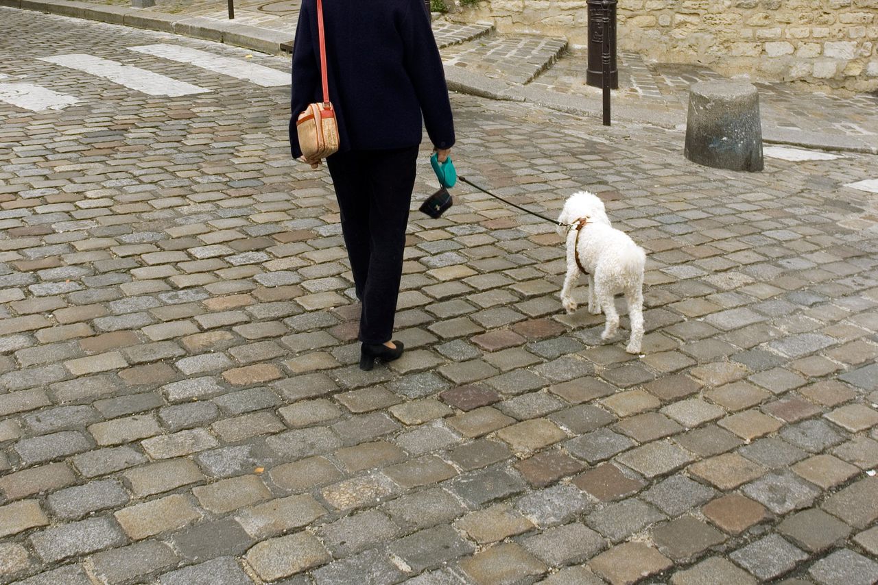 De elegante dame met het hondje is een huurmoordenaar 