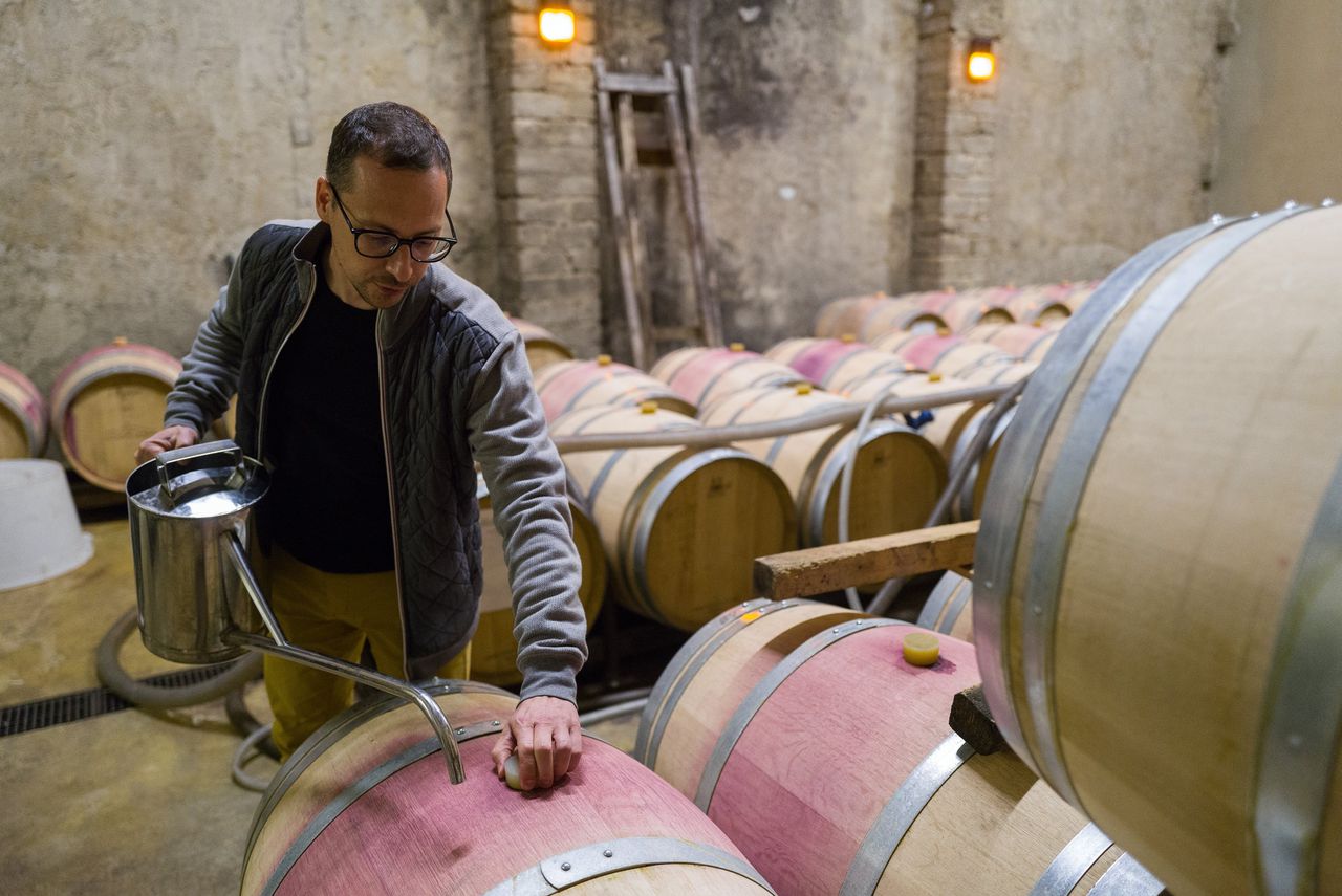 Rioolwater moet Zuid-Franse wijnranken redden 