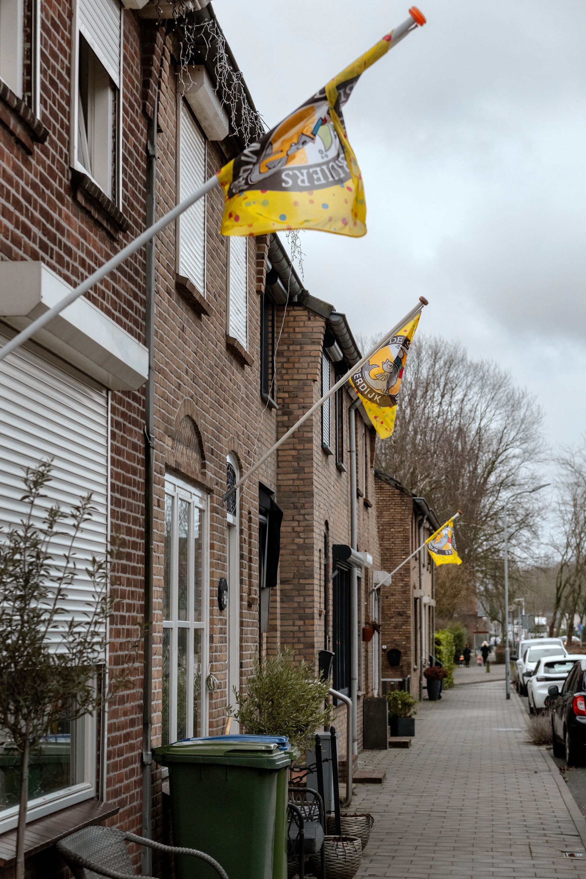 Banderas de carnaval en Moerdijk.