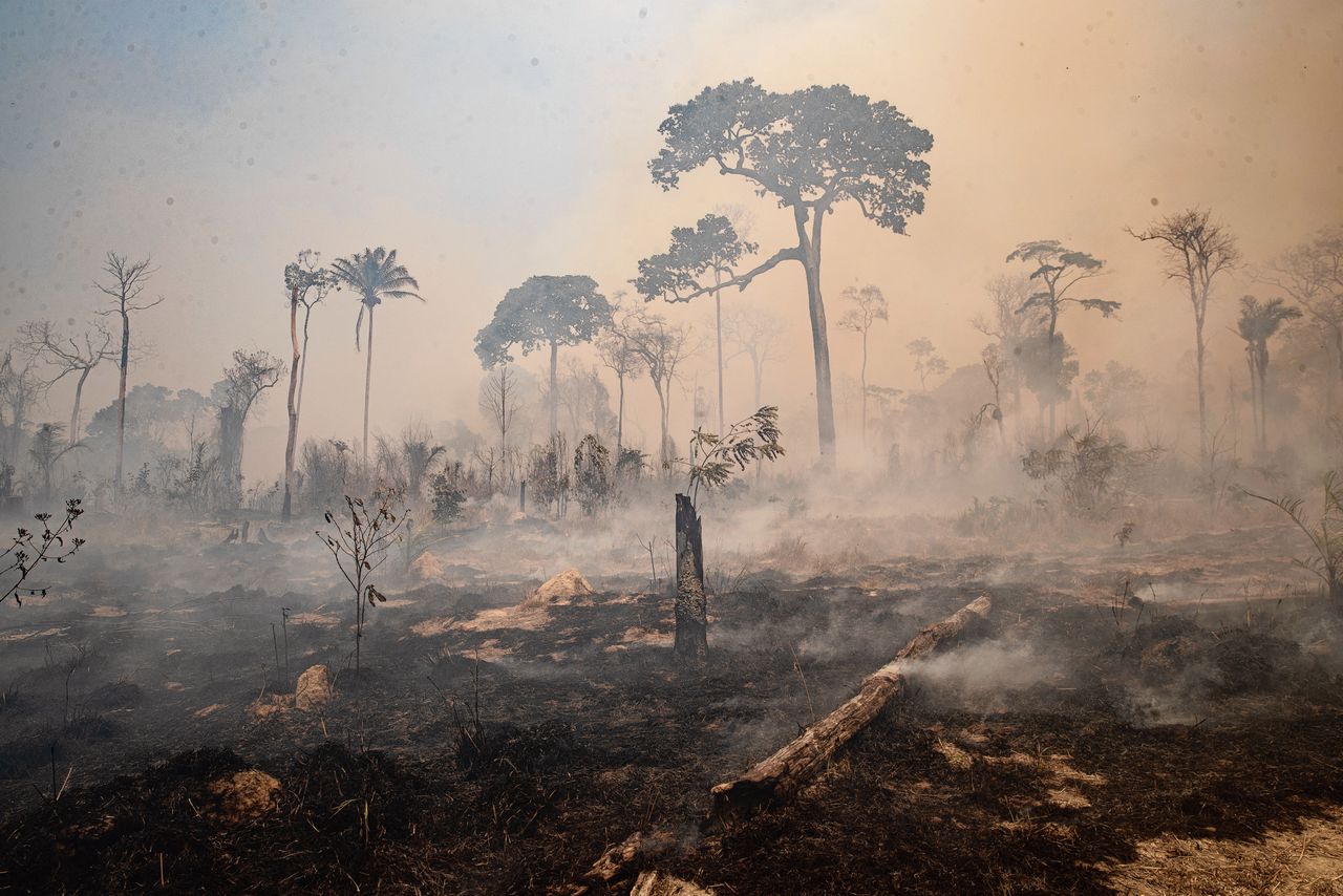 Branden in de Braziliaanse staat Para in 2020, waar veeboeren grote stukken land hebben ontbost.