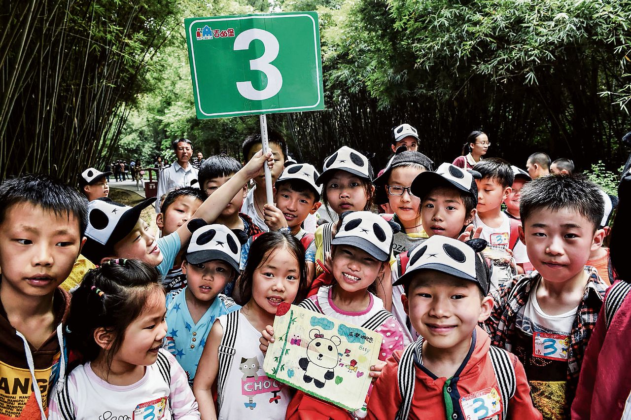 Kinderen van de Kid Castel English School gaan goed voorbereid panda’s kijken in de pandadierentuin in Chengdu.