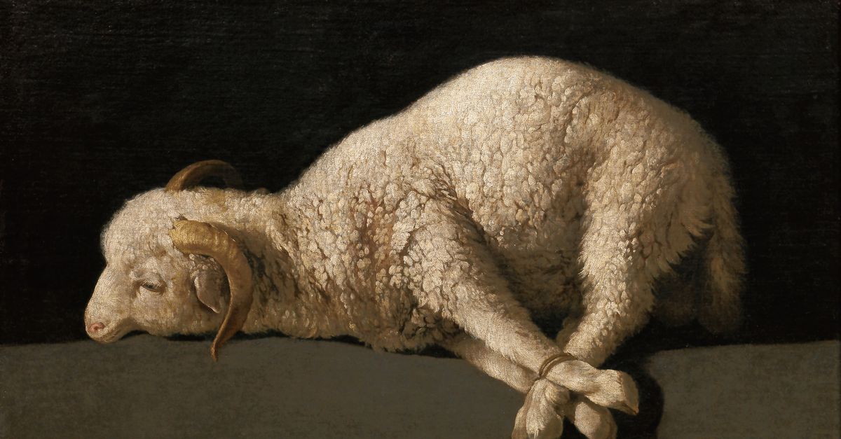 Dieren, dochters, zonen: de eerste slachtoffers