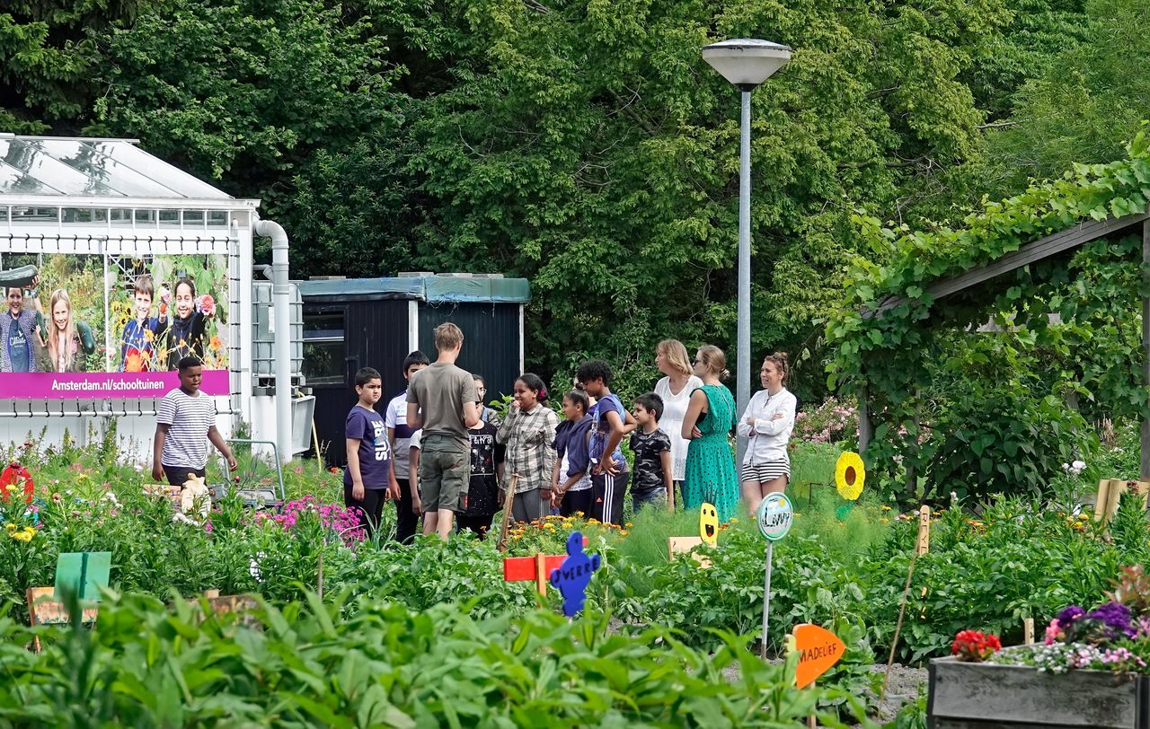 Kinderen en onderwijsmedewerkers krijgen uitleg in Schooltuin H.C. Vink in Park Frankendael (Amsterdam).