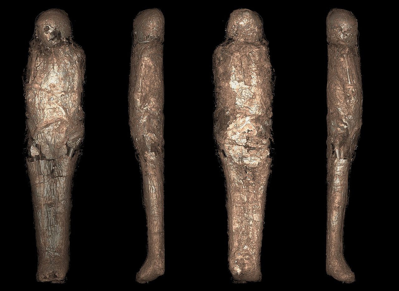 Een 3D-reconstructie op basis van CT-scans toont de modderlaag rondom de mummie.