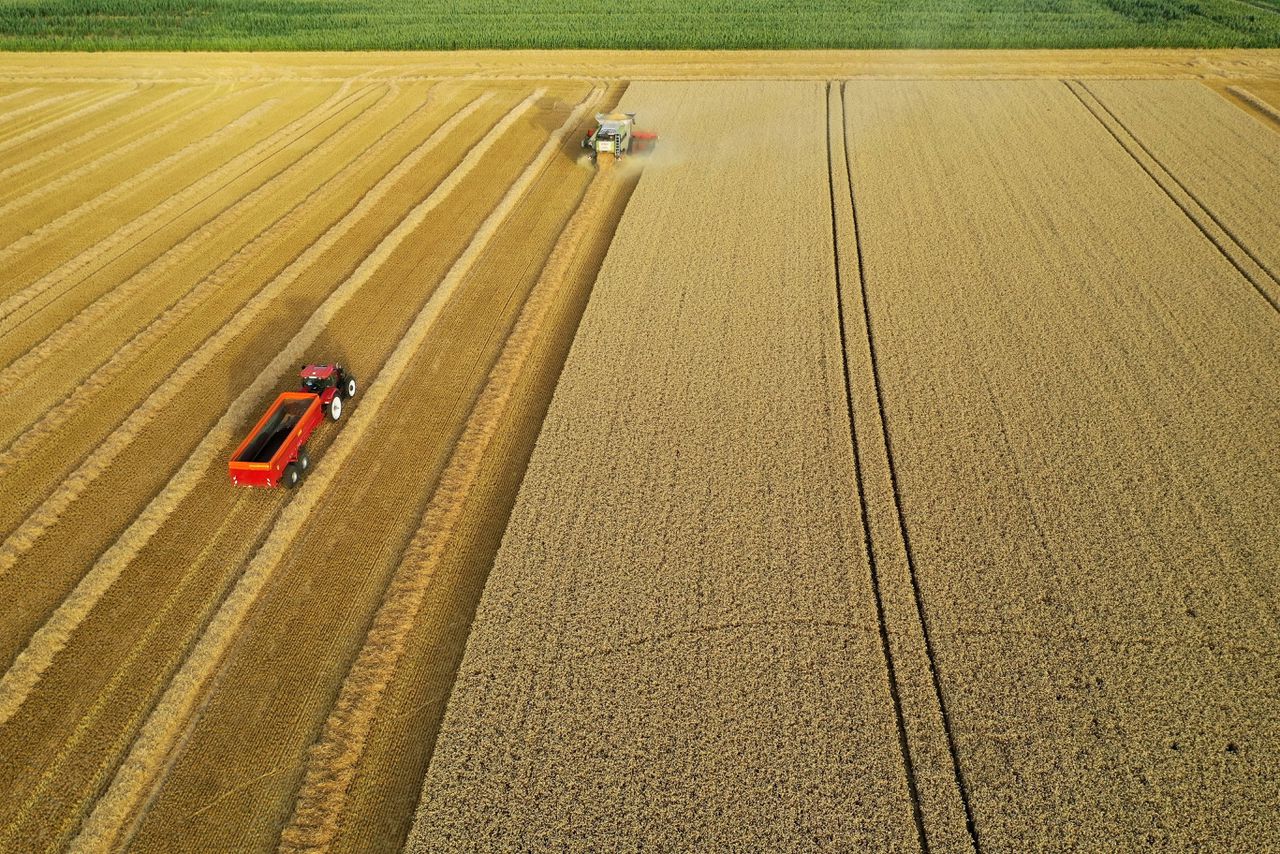 Een Franse boer oogst tarwe.