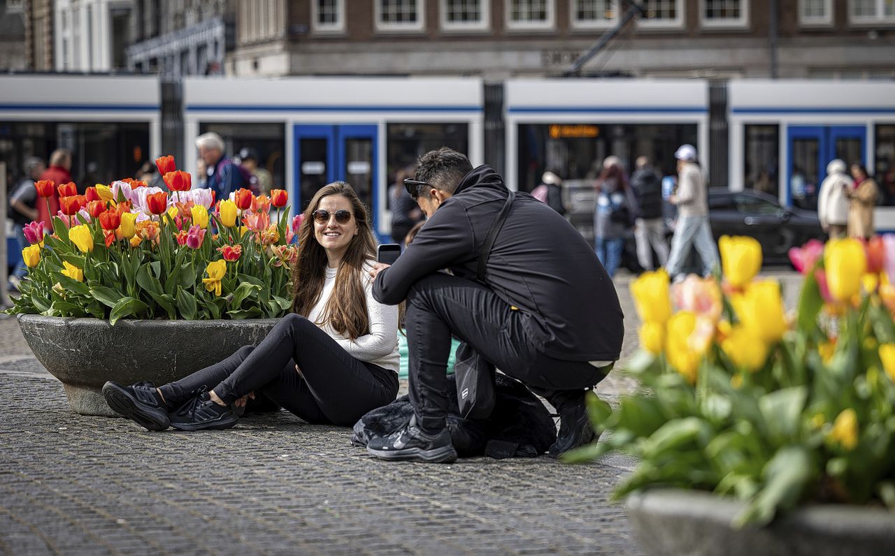 Tulpenkiekers in Amsterdam 