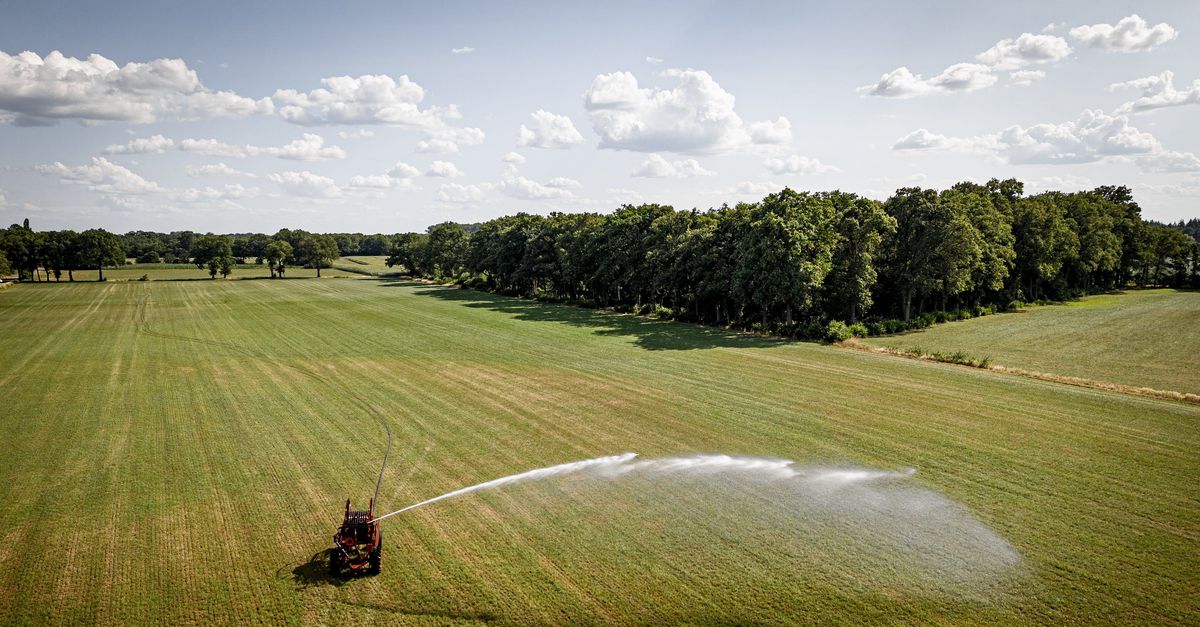 Verwachte buien helpen amper tegen gevolgen droogte, waterschappen nemen extra maatregelen