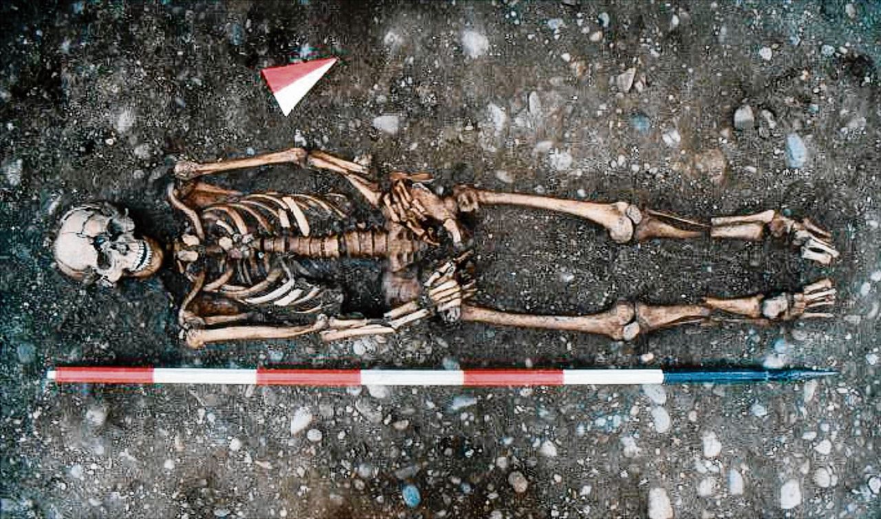 Het skelet van een Italiaanse man gevonden op een kerkhof onder de Piazza Sant’Ambrogio in Milaan. De man was 1,57 meter lang.