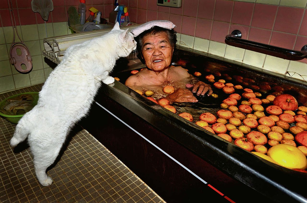 Японская бабушка и кот Фукумару